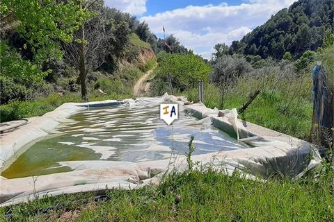 Helårsgrund i Montefrio, Granada, Montefrio - € 50.000 | Ref: PL264 - foto 2