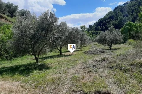 Helårsgrund i Montefrio, Granada, Montefrio - € 50.000 | Ref: PL264 - foto 3