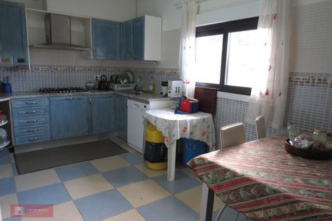 Villa i Leiria, Leiria, Leiria - € 395.000 | Ref: TPH211-03 - foto 9
