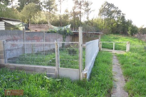 Villa i Leiria, Leiria, Leiria - € 395.000 | Ref: TPH211-03 - foto 16