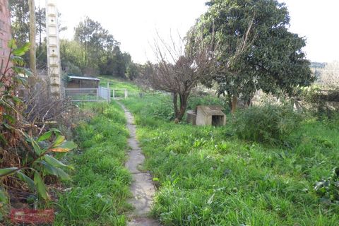 Villa i Leiria, Leiria, Leiria - € 395.000 | Ref: TPH211-03 - foto 17