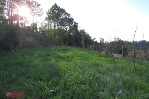 Villa i Leiria, Leiria, Leiria - € 395.000 | Ref: TPH211-03 - foto 18