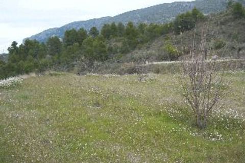 Helårsgrund i Almudaina, Alicante, Almudaina - € 55.000 | Ref: LOS3078 - foto 2