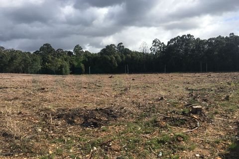 Helårsgrund i Moncao, Viana do Castelo, Moncao - € 1.100.000 | Ref: MNC0401T - foto 5