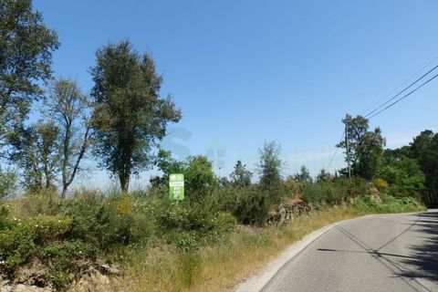 Terra a Cambeses, Viana do Castelo, Cambeses - € 75.000 | Ref: MNC0866T - foto 2