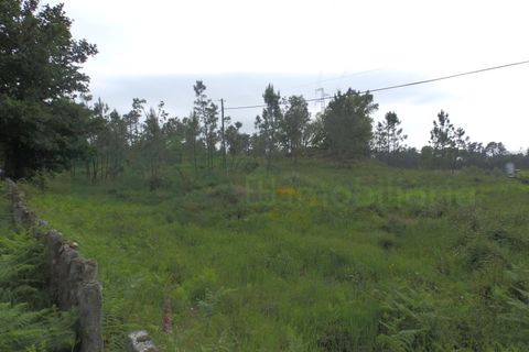 Terra a Cambeses, Viana do Castelo, Cambeses - € 75.000 | Ref: MNC0866T - foto 3