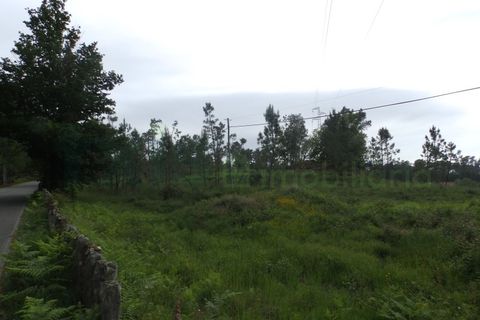 Terra a Cambeses, Viana do Castelo, Cambeses - € 75.000 | Ref: MNC0866T - foto 5