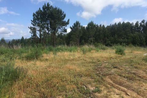 Terra a Gandra e Taiao, Viana do Castelo, Gandra e Taiao - € 57.500 | Ref: VLC0064T - foto 2