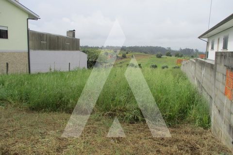 Terra a Fermentelos, Aveiro, Fermentelos - € 40.000 | Ref: 1050716/21 OB - foto 2