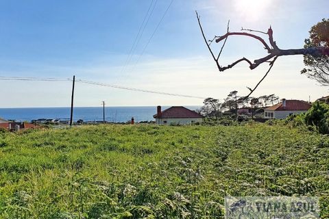 Helårsgrund i Viana do Castelo, Viana do Castelo, Viana do Castelo - € 400.000 | Ref: 1780 - foto 2