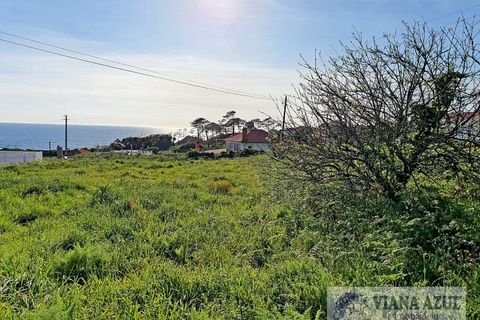 Helårsgrund i Viana do Castelo, Viana do Castelo, Viana do Castelo - € 400.000 | Ref: 1780 - foto 5