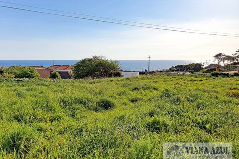 Helårsgrund i Viana do Castelo, Viana do Castelo, Viana do Castelo - € 400.000 | Ref: 1780 - foto 6