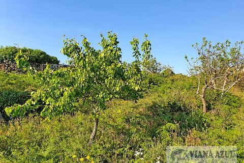 Helårsgrund i Viana do Castelo, Viana do Castelo, Viana do Castelo - € 400.000 | Ref: 1780 - foto 11