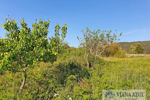 Helårsgrund i Viana do Castelo, Viana do Castelo, Viana do Castelo - € 400.000 | Ref: 1780 - foto 12