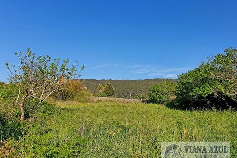 Helårsgrund i Viana do Castelo, Viana do Castelo, Viana do Castelo - € 400.000 | Ref: 1780 - foto 13