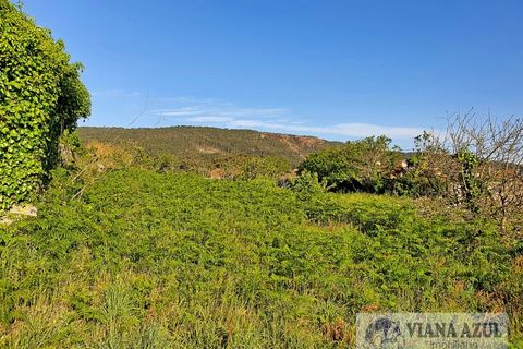 Helårsgrund i Viana do Castelo, Viana do Castelo, Viana do Castelo - € 400.000 | Ref: 1780 - foto 15