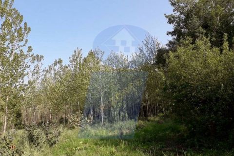 Helårsgrund i Arouca, Aveiro, Arouca - € 90.000 | Ref: TER_615 - foto 3