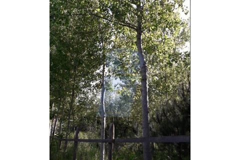 Helårsgrund i Arouca, Aveiro, Arouca - € 90.000 | Ref: TER_615 - foto 4