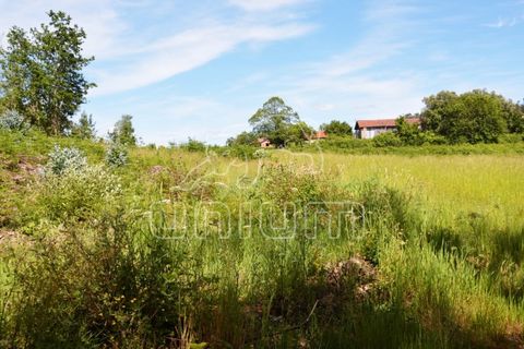 Helårsgrund i Ponte de Lima, Viana do Castelo, Ponte de Lima - € 318.450 | Ref: R2330 - foto 4