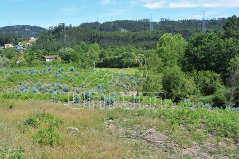 Helårsgrund i Ponte de Lima, Viana do Castelo, Ponte de Lima - € 318.450 | Ref: R2330 - foto 6