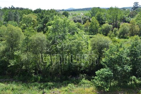 Helårsgrund i Ponte de Lima, Viana do Castelo, Ponte de Lima - € 318.450 | Ref: R2330 - foto 7