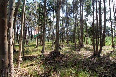 Helårsgrund i Almocageme, Lisbon, Almocageme - € 95.000 | Ref: T87 - foto 1