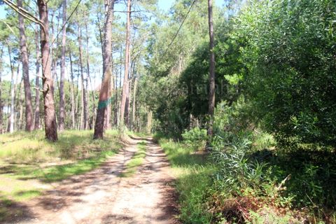 Helårsgrund i Almocageme, Lisbon, Almocageme - € 95.000 | Ref: T87 - foto 3