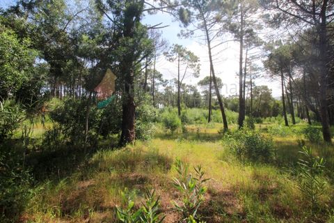 Helårsgrund i Almocageme, Lisbon, Almocageme - € 95.000 | Ref: T87 - foto 4