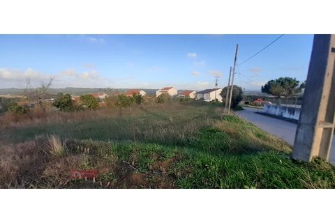 Helårsgrund i Paiao, Coimbra, Paiao - € 25.000 | Ref: TPH103-289 - foto 2