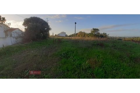 Helårsgrund i Paiao, Coimbra, Paiao - € 25.000 | Ref: TPH103-289 - foto 4