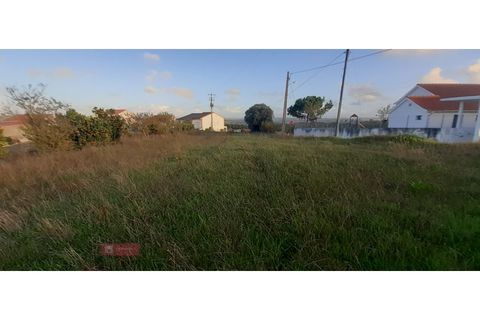 Helårsgrund i Paiao, Coimbra, Paiao - € 25.000 | Ref: TPH103-289 - foto 5