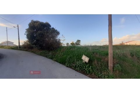 Helårsgrund i Paiao, Coimbra, Paiao - € 25.000 | Ref: TPH103-289 - foto 7