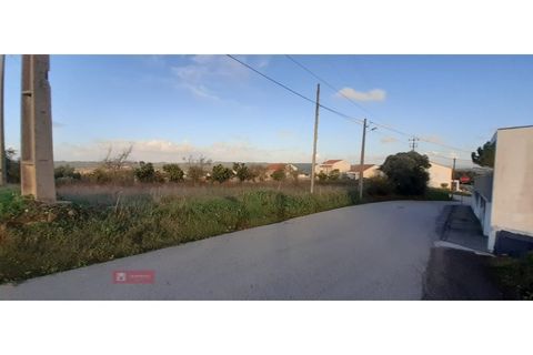 Helårsgrund i Paiao, Coimbra, Paiao - € 25.000 | Ref: TPH103-289 - foto 9