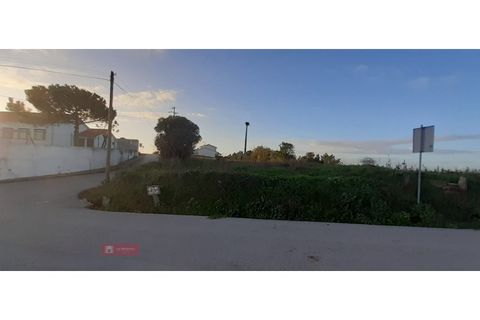 Helårsgrund i Paiao, Coimbra, Paiao - € 25.000 | Ref: TPH103-289 - foto 11