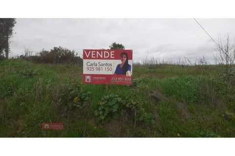 Helårsgrund i Paiao, Coimbra, Paiao - € 25.000 | Ref: TPH103-289 - foto 14