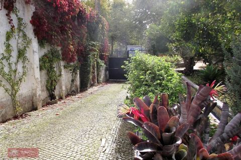Villa i Caldas da Rainha, Leiria, Caldas da Rainha - € 690.000 | Ref: TPH001-09 - foto 23