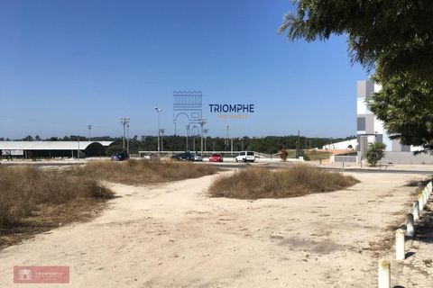 Helårsgrund i Santo Onofre e Serra do Bouro, Leiria, Santo Onofre e Serra do Bouro - € 300.000 | Ref: TPH128-17 - foto 2
