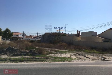 Helårsgrund i Santo Onofre e Serra do Bouro, Leiria, Santo Onofre e Serra do Bouro - € 300.000 | Ref: TPH128-17 - foto 3