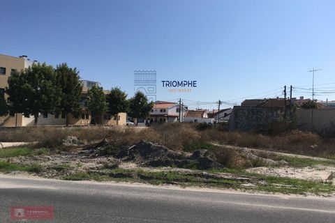 Helårsgrund i Santo Onofre e Serra do Bouro, Leiria, Santo Onofre e Serra do Bouro - € 300.000 | Ref: TPH128-17 - foto 4