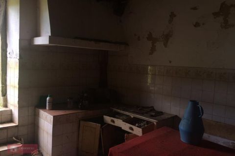 Landejendom i Bombarral, Leiria, Bombarral - € 80.000 | Ref: TPH129-17 - foto 10