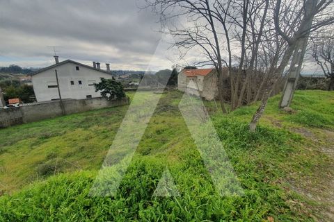 Helårsgrund i Mangualde, Viseu, Mangualde - € 25.000 | Ref: 1180079/20VS - foto 5