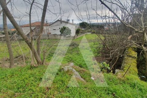 Helårsgrund i Mangualde, Viseu, Mangualde - € 25.000 | Ref: 1180079/20VS - foto 6