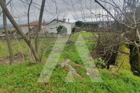 Helårsgrund i Mangualde, Viseu, Mangualde - € 25.000 | Ref: 1180079/20VS - foto 8