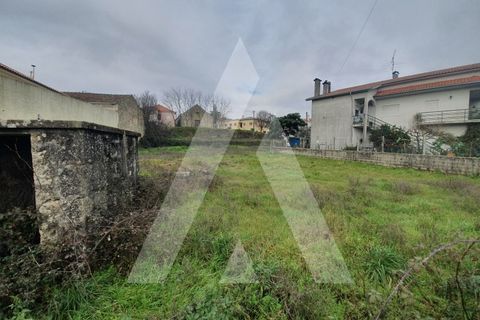 Helårsgrund i Mangualde, Viseu, Mangualde - € 25.000 | Ref: 1180079/20VS - foto 10