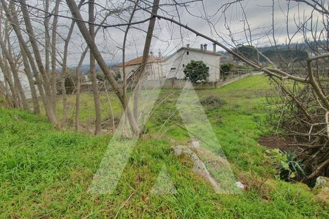 Helårsgrund i Mangualde, Viseu, Mangualde - € 25.000 | Ref: 1180079/20VS - foto 11
