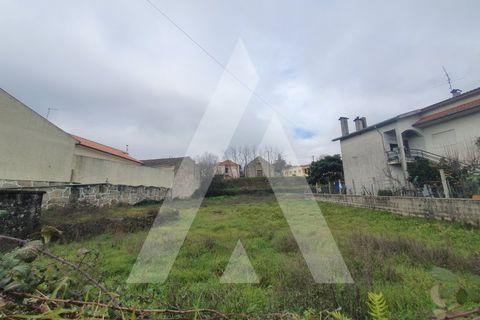 Helårsgrund i Mangualde, Viseu, Mangualde - € 25.000 | Ref: 1180078/20VS - foto 2