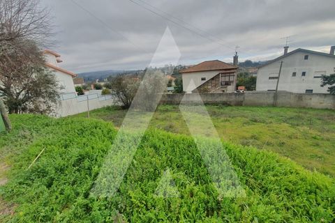 Helårsgrund i Mangualde, Viseu, Mangualde - € 25.000 | Ref: 1180078/20VS - foto 5