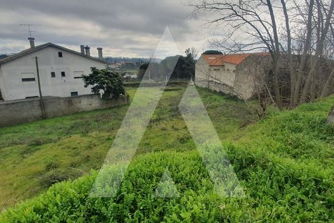 Helårsgrund i Mangualde, Viseu, Mangualde - € 25.000 | Ref: 1180078/20VS - foto 9