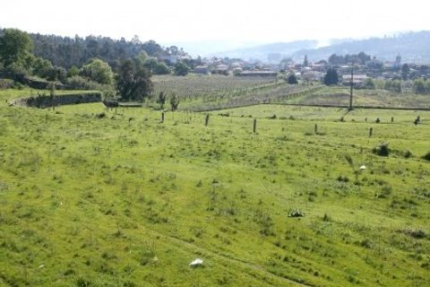 Landejendom i Paredes, Porto, Paredes - € 690.000 | Ref: 3257 - foto 9