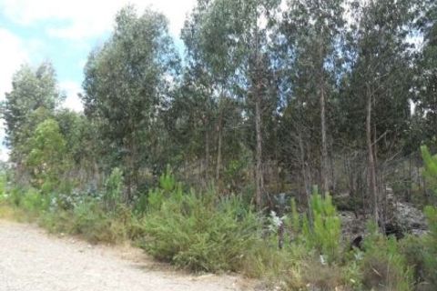 Helårsgrund i Valongo, Porto, Valongo - € 500.000 | Ref: 2066 - foto 2